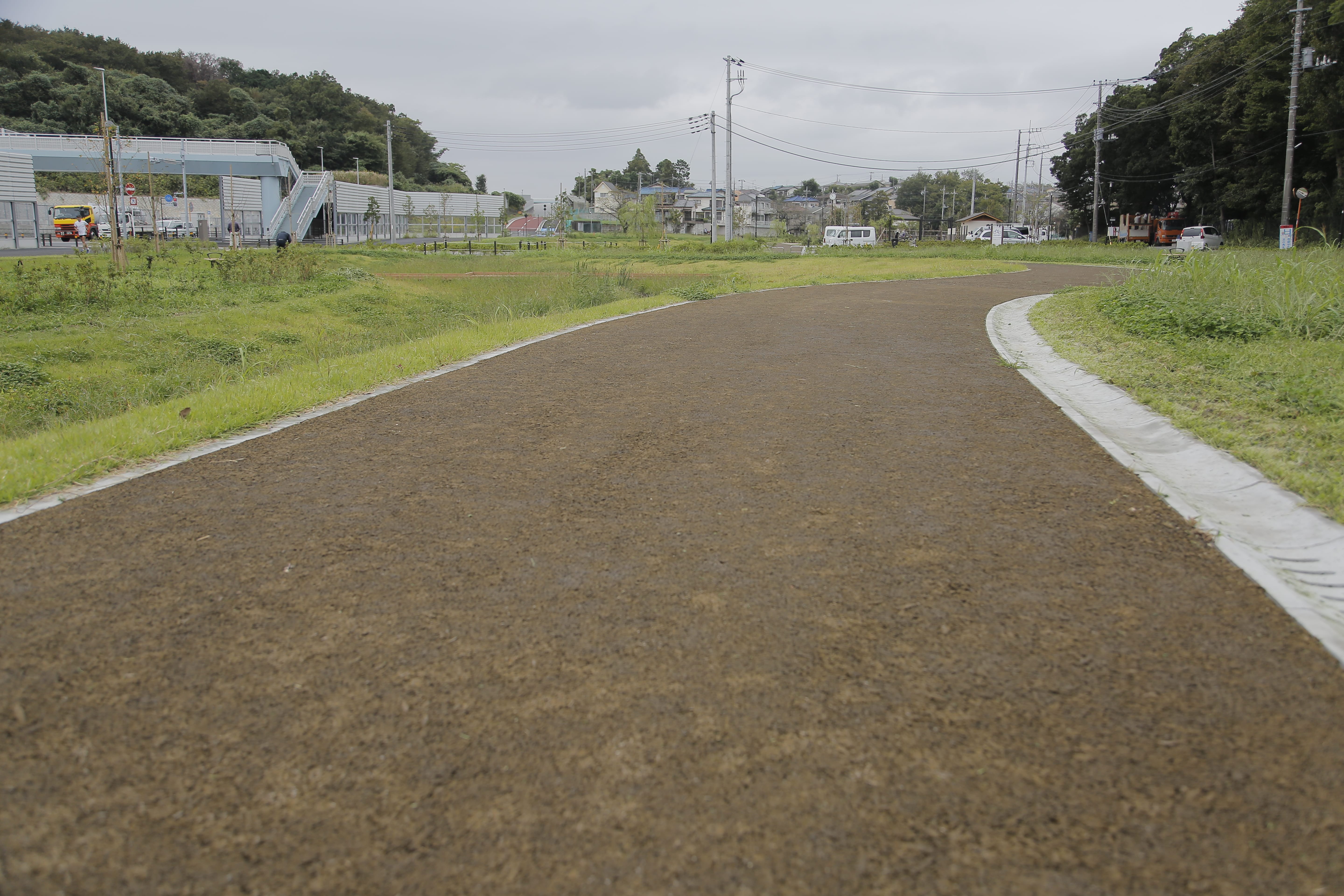 日常的に散歩できる公園