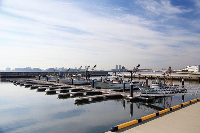写真：整備された新しい市川漁港