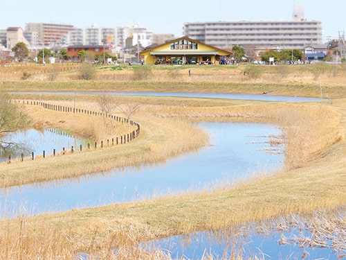 緑地南側からの棚池と大柏川ビジターセンターの眺め