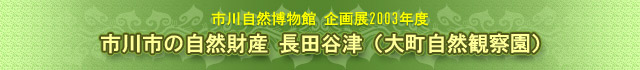 市川市の自然財産　長田谷津　大町自然観察園　企画展目次　　