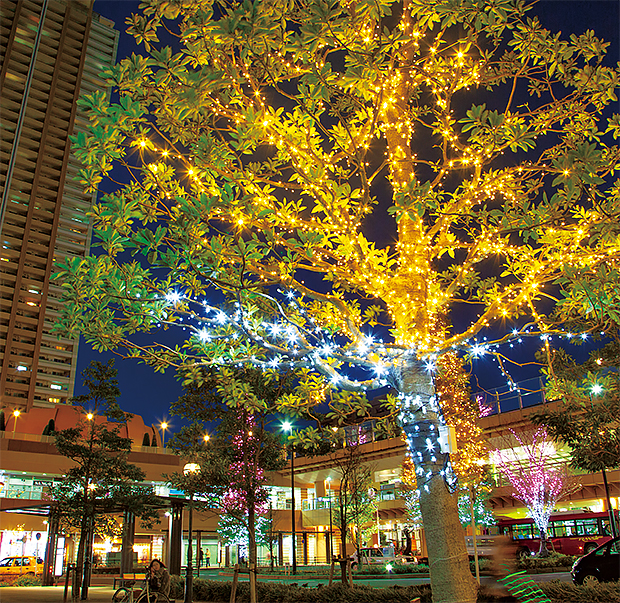 イルミネーションの写真