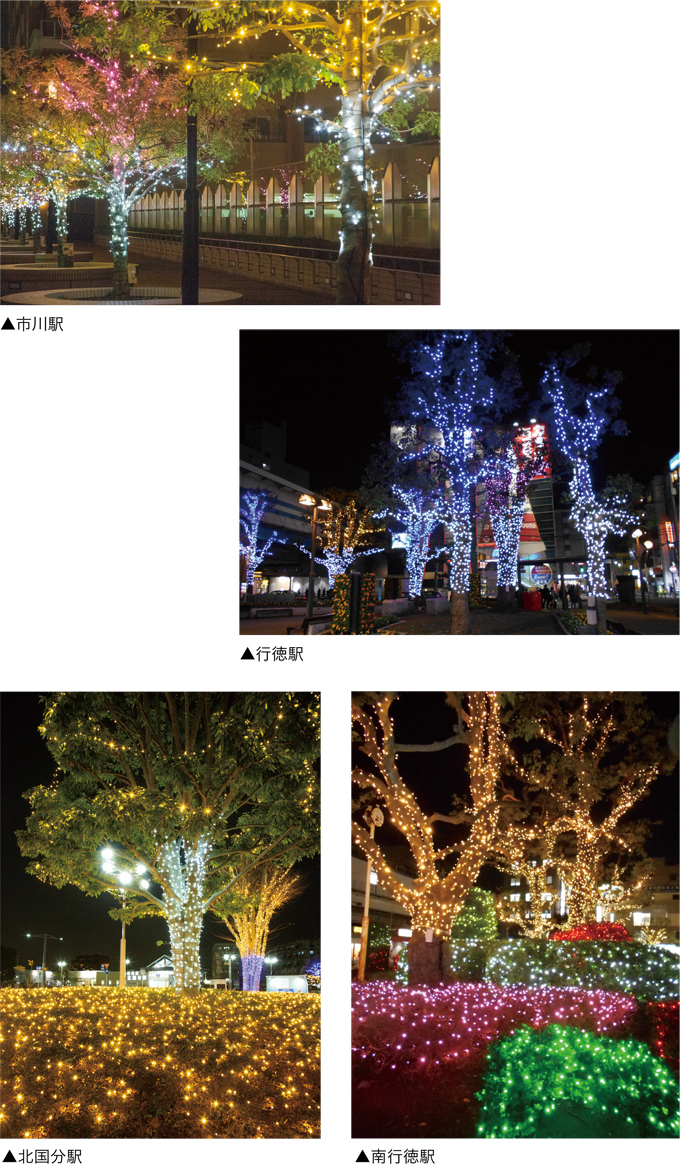 冬ならではの景観を楽しもう 市川市によるイルミネーションの画像