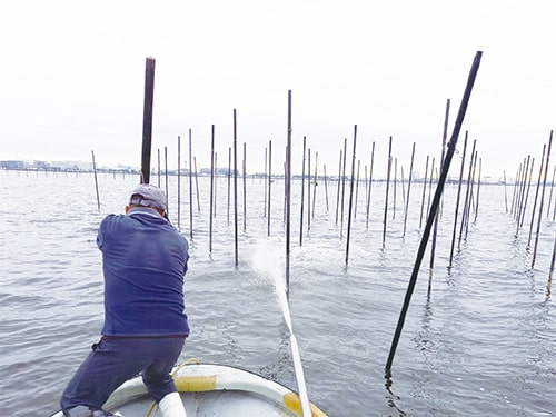 [1]棒立て（8月〜9月）
