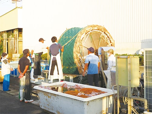 画像：[2]網への種付け（陸上採苗）（10月）