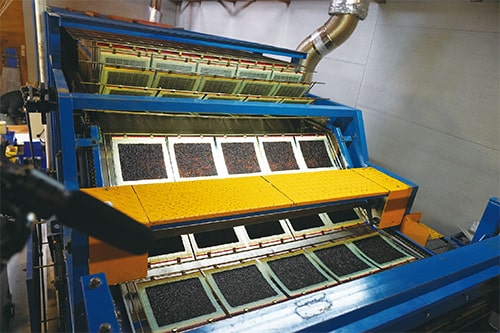 画像：[2]ノリ漉き