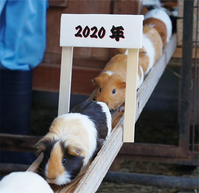 2020年 勢いよくスタートの画像