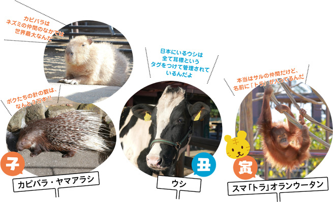 [特集1] 動植物園・自然博物館にいる動物たちで干支（えと）紹介の画像1