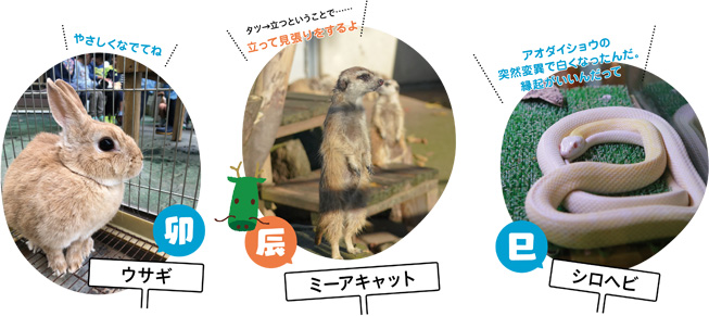 [特集1] 動植物園・自然博物館にいる動物たちで干支（えと）紹介の画像2