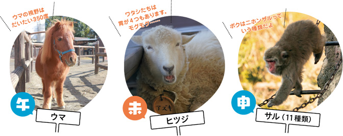 [特集1] 動植物園・自然博物館にいる動物たちで干支（えと）紹介の画像3
