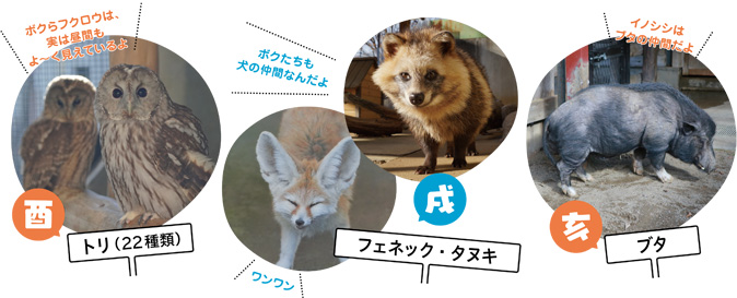 [特集1] 動植物園・自然博物館にいる動物たちで干支（えと）紹介の画像4