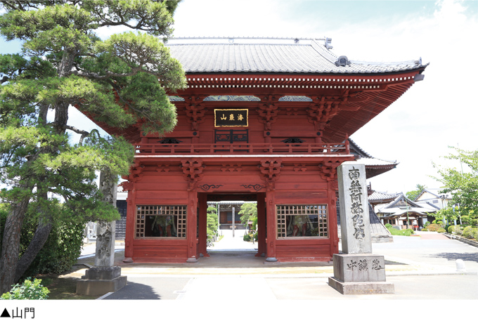 徳川家と剣豪のゆかりの地 徳願寺（市川市本行徳5-22）の画像1