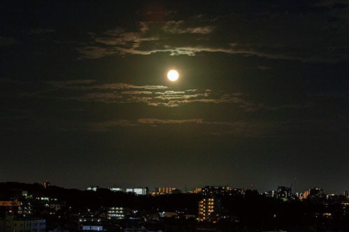 本日は十五夜(中秋の名月)の画像2