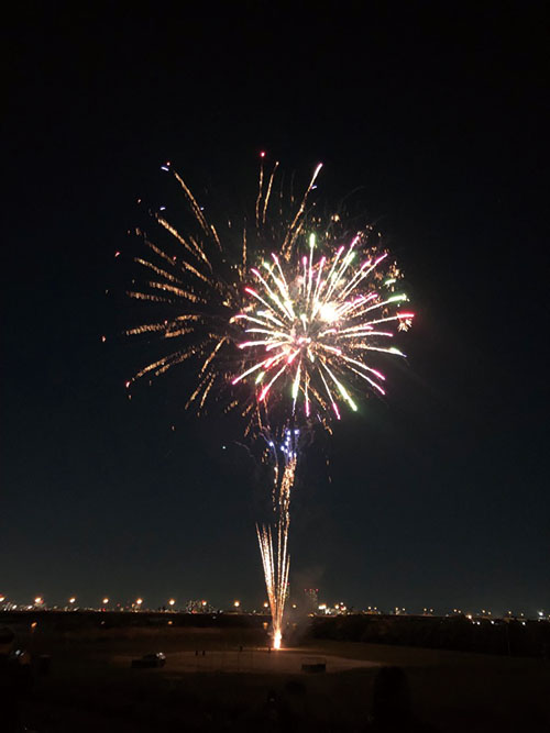 市川スマイル花火プロジェクトの画像2