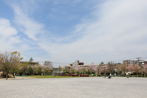 画像：大洲防災公園