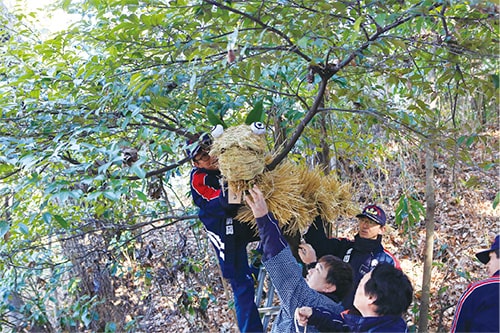 画像：国府台辻切（こうのだいつじき）り8