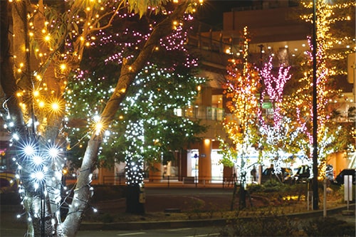 画像：【X（旧：Twitter）】幻想的な光の世界[12月12日]の画像1