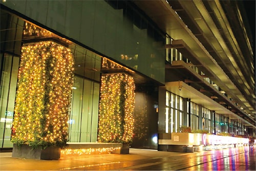 画像：【X（旧：Twitter）】幻想的な光の世界[12月12日]の画像2