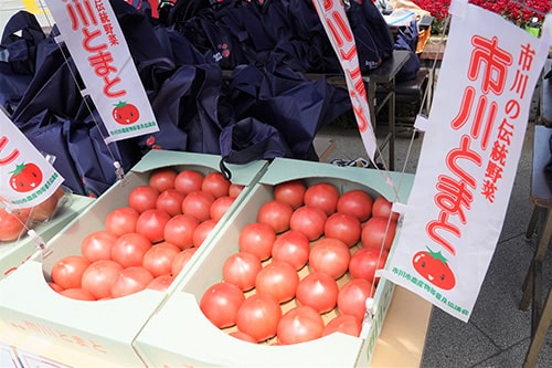 画像：市川とまと