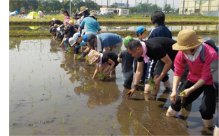 体験学習事業(農業・稲作体験)「市川米っ人くらぶ」参加家族募集