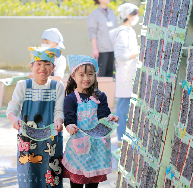 いちかわの「海の幸」にふれるの画像