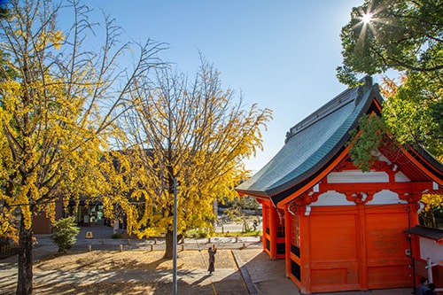 画像：秋にはすてきな黄葉（こうよう）の眺め