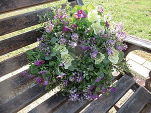 気軽にできるガーデニング、はじめてみませんか「花と緑の講座」受講生募集の画像