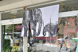 昨年の様子。今年は昨年よりも多い暖簾のほか、立体アートが楽しめますの画像3