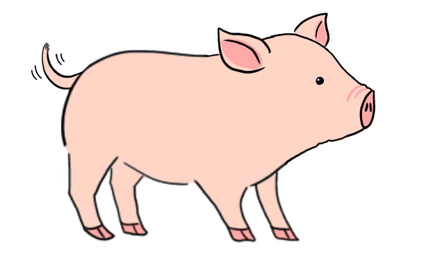 マイクロブタってこんな動物の画像