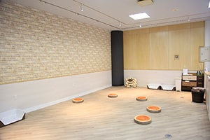 マイクロブタは「なかよしルーム」にいますの画像