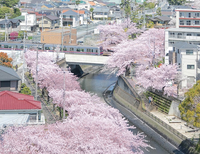 画像：春の足音が聞こえてきました
