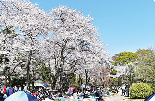 画像：里見公園