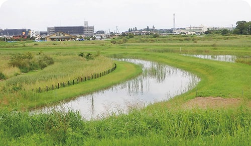画像：大柏川第一調節池緑地