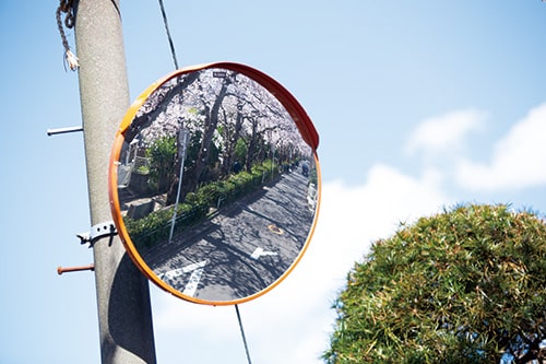 画像：カーブミラーに映る桜