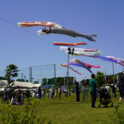 画像：国分川調節池緑地（多目的広場）
