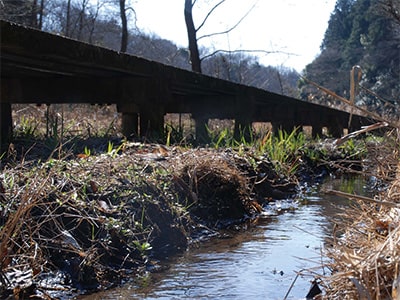 湧水が集まって流れができるの画像