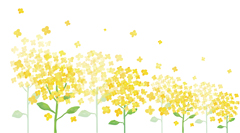 幼稚園子育て相談の画像