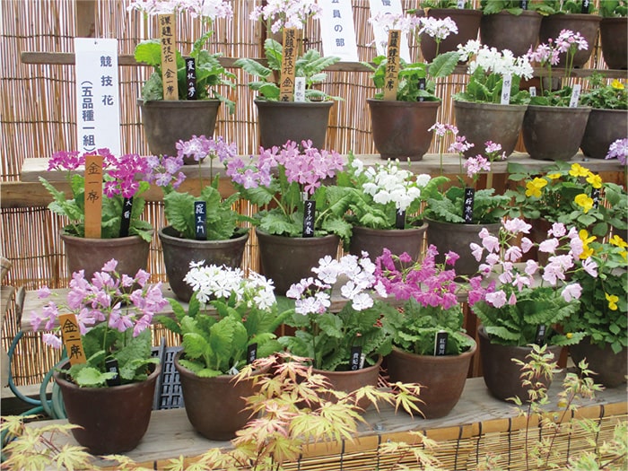 画像：昨年の様子