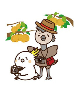 イラスト：その他