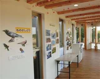 季節の鳥たちの画像