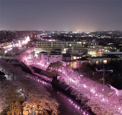 【Instagram】春のルーティン［4月7日］の画像