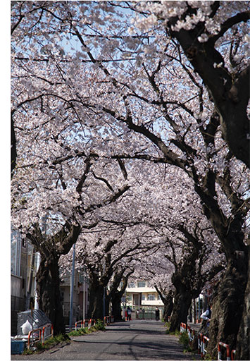 第三中学校前の画像