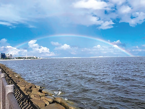 画像：三番瀬（さんばんぜ）