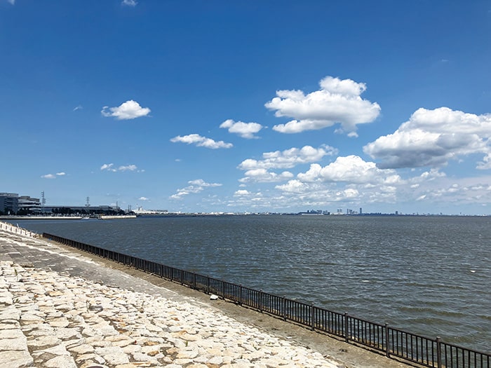 画像：緩傾斜・階段護岸（令和3年10月完成）