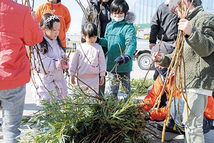 画像：ボサを作成