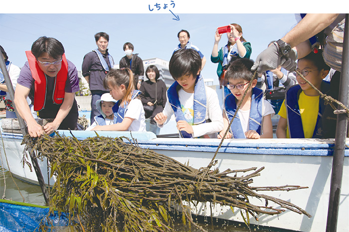 画像：ボサを海に沈める