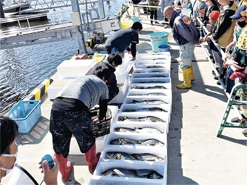 画像：魚介類詰め合わせ直売