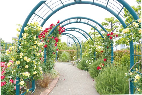 画像：広尾防災公園2