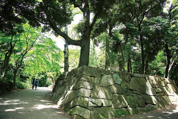 画像：里見公園