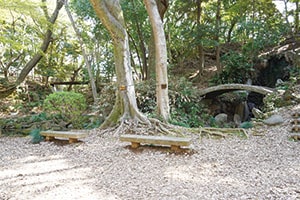 現在も残る太鼓橋の画像