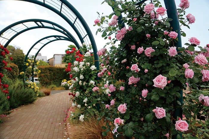 広尾防災公園の画像